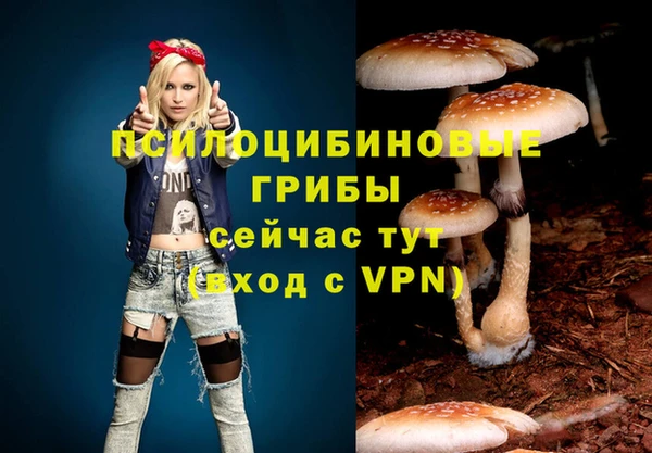таблы Бронницы
