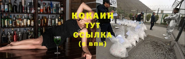 apvp Белокуриха