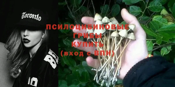 ALPHA-PVP Бугульма