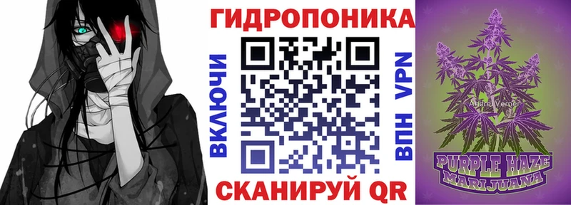 Шишки марихуана сатива  как найти закладки  Минеральные Воды 